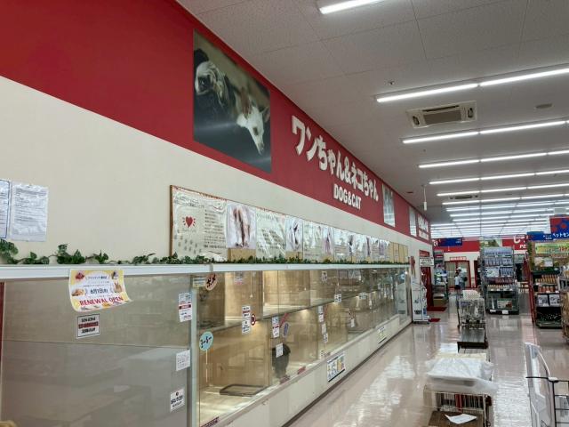 OneBuddy瀬田店
