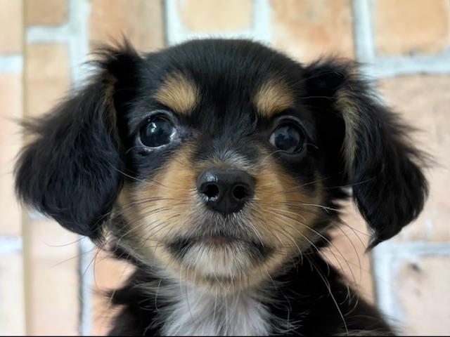 MIX