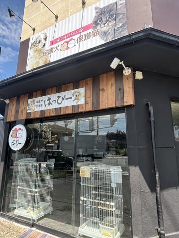 保護犬 保護猫 はっぴー