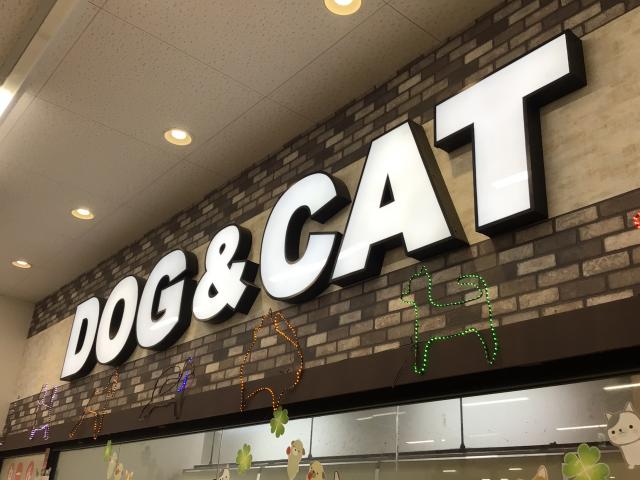 パッションONE赤羽店