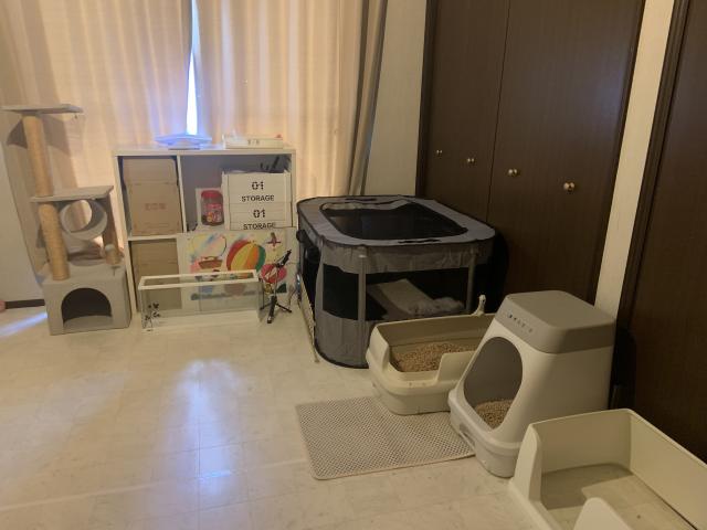 ビープラス