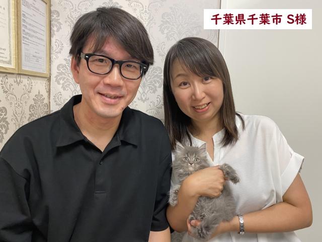 サイベリアン💕猫アレルギー有る方にお勧め猫種💕