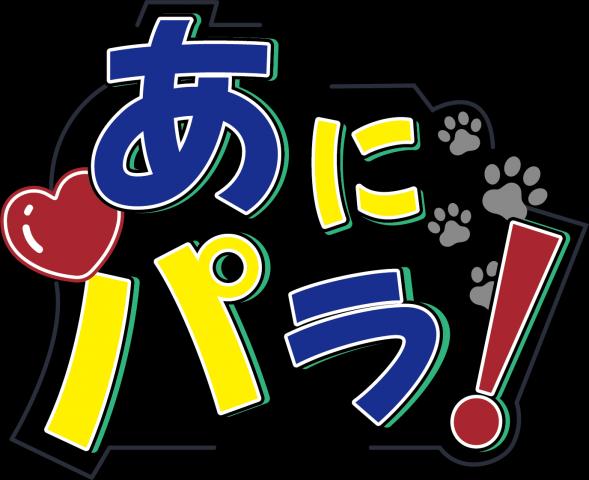 あにパラ