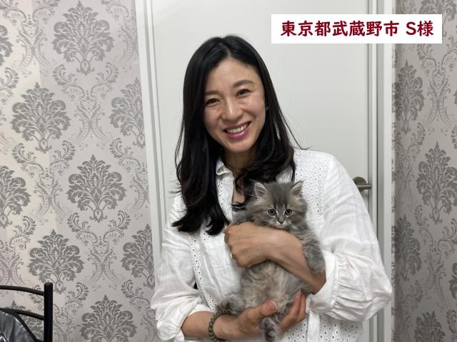 サイベリアン💕猫アレルギー有る方にお勧め猫種💕