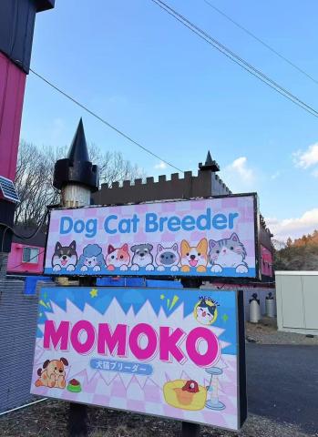 MOMOKO株式会社