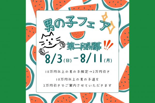 キャッテリーＶＩＶＩＴ