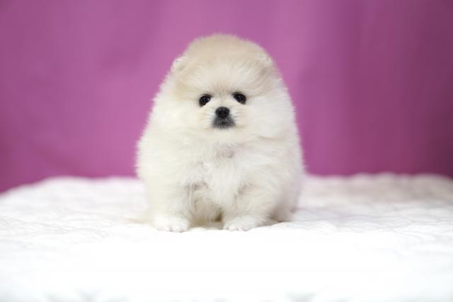 べいびぃはうす