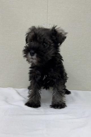 明るく活発！好奇心旺盛の男の子です🩵