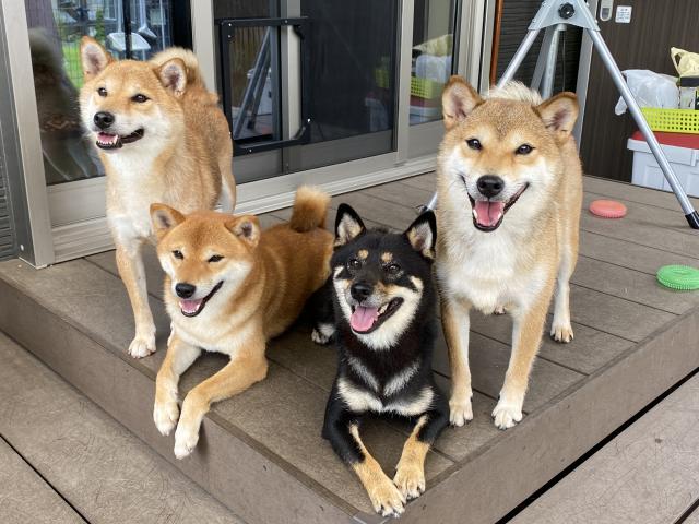 信州マウンテン