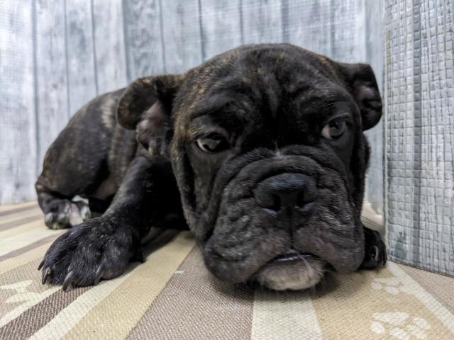 甘えん坊な女の子です😊