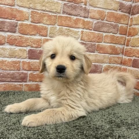 甘えん坊ちゃん💕