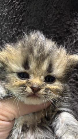 クリクリおめめが可愛い❤️