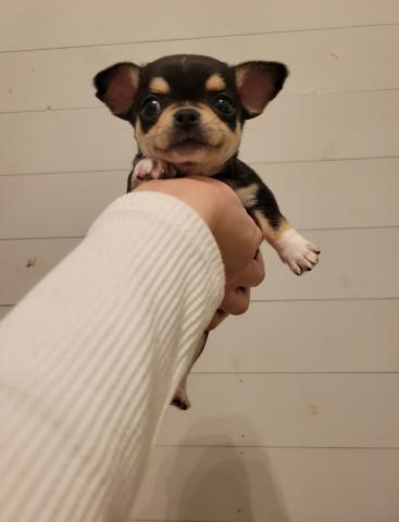 かわいいスムチ♥