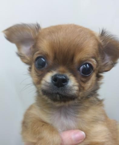 甘え上手な男の子です！