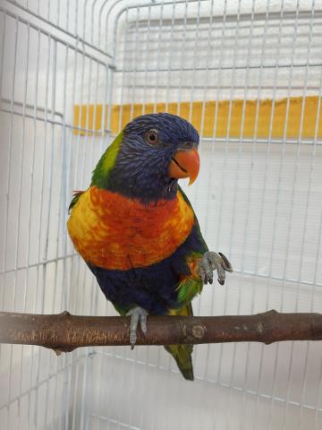 頭ふりふりがかわいい💕