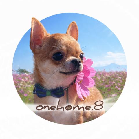onehome.8