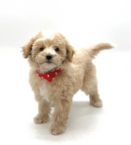 MIX★表示価格は全て諸費用を含みます。