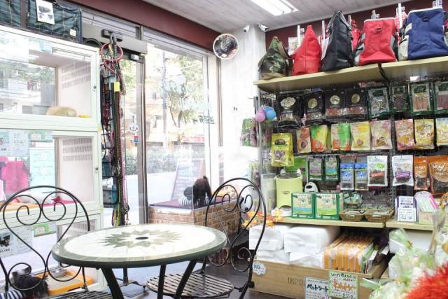 ペットショップｼﾞｭﾆｱ池袋