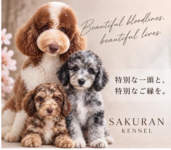 SakuRan Kennel