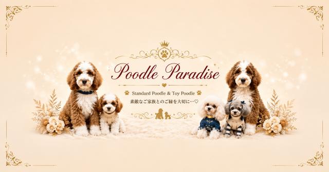 poodle paradise