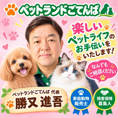 ペットランドごてんば