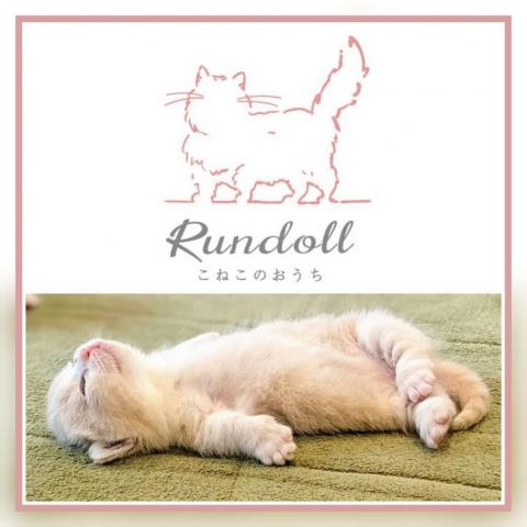 こねこのおうちRundoll