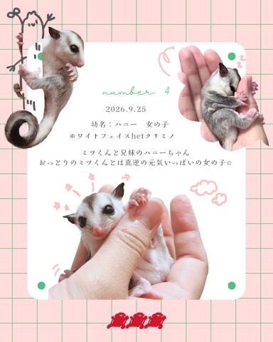 ホワイトフェイスhetクリミノ