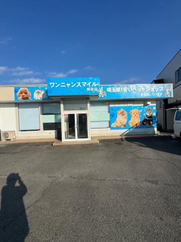 ワンニャンスマイル熊谷店