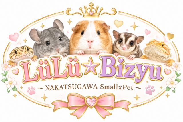 LüLü☆Bizyu
