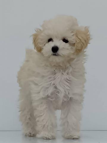 目が離せない可愛さ♡