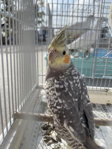 とっても可愛い癒し系🩷