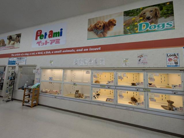 ペットアミ佐沼店