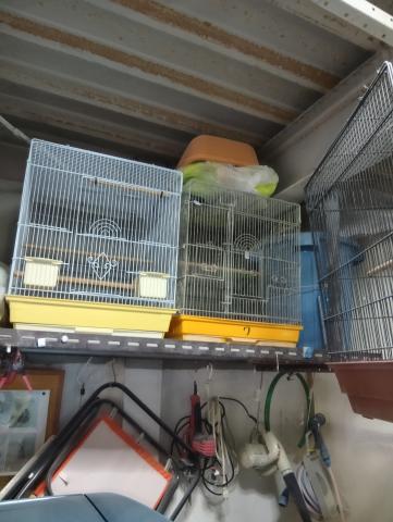 中古ケージ色々フルセット