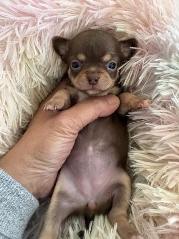 激レアbabyちゃん