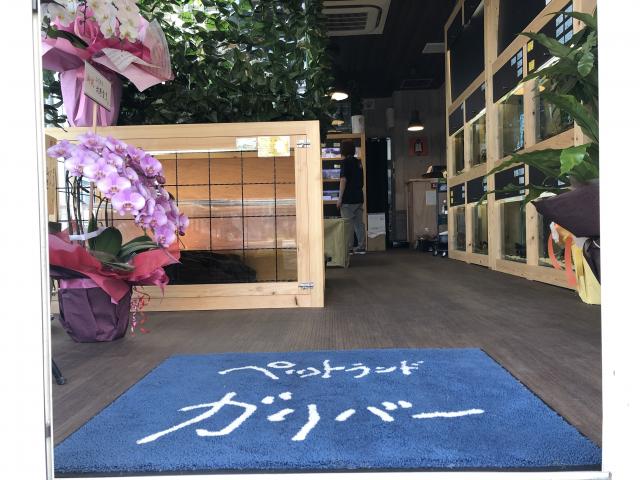 ペットランドガリバー