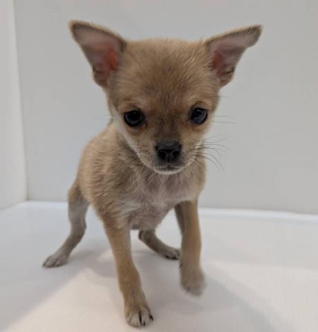 小さな身体で誰よりも元気いっぱいな女の子🩷