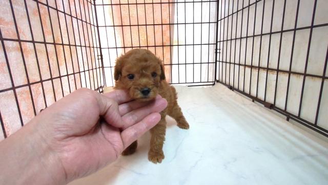 予約受付中です