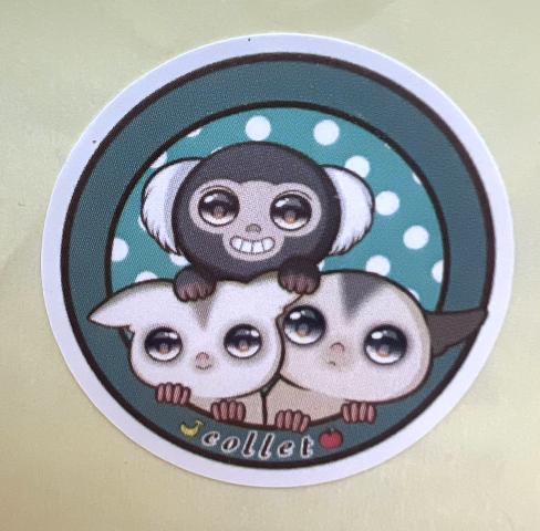 モザイク（パイド血統）