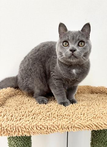 ❤️穏やかな男の子❤️