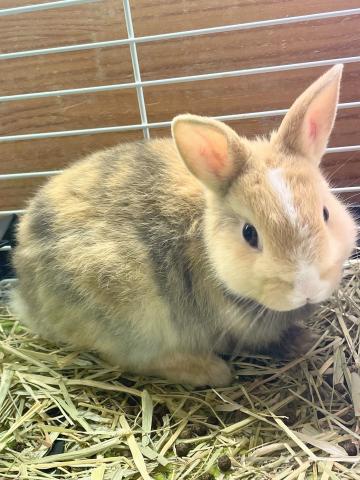 目が離せない可愛さ♡