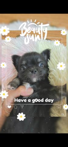 ムチコロbabyちゃん(o^^o)