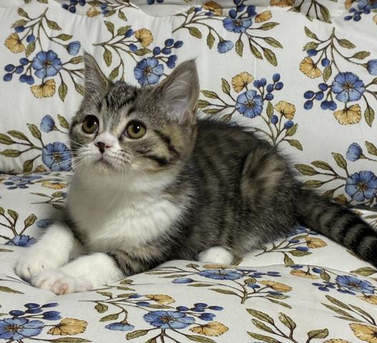 可愛いプリティレディ♫ （メアリ）