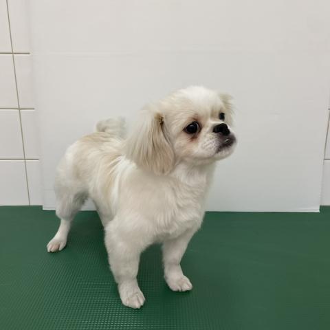 いつも元気いっぱい！人のことが大好き！！