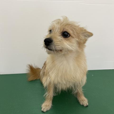 お座りも覚えたお利口さんです✨️