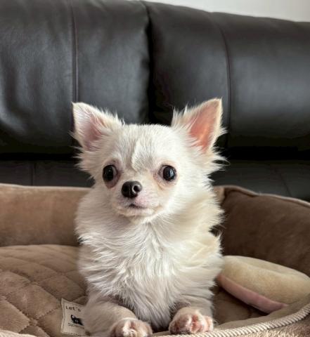 ❤️ 人懐っこい女の子 ❤️