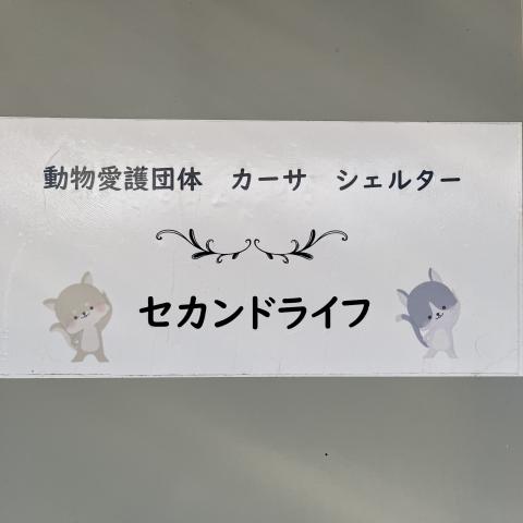 セカンドライフ