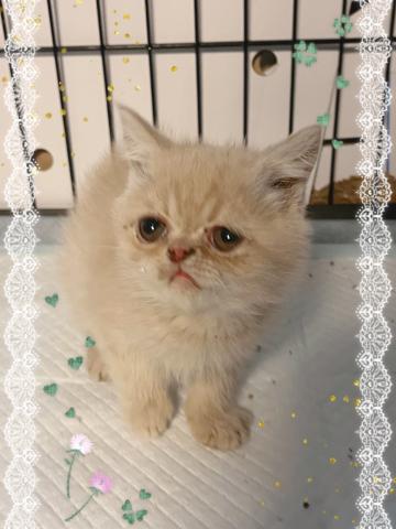 ☆可愛い男の子☆