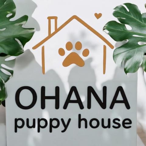 🌺セレクトライン🌺