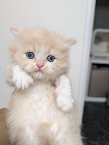 どんどん可愛く成長しています。