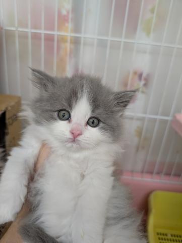 どんどん可愛く成長しています。